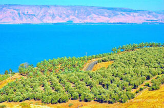 the footsteps of jesuse Sea Of Galilee Kinneret 0002