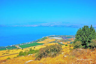 the footsteps of jesuse Sea Of Galilee Kinneret 0005