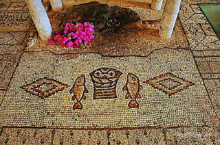 the footsteps of jesuse Tabgha 0003