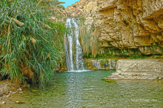 Israel Ein Gedi 0003