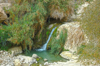Israel Ein Gedi 0004