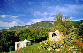 Israel Galilee 0006