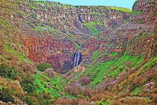 Israel Gamla Waterfall 0001