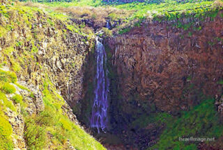 Israel Gamla Waterfall 0002