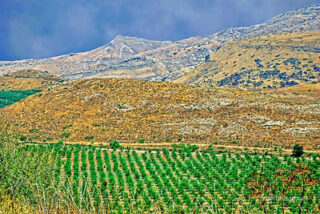 Israel Golan Heights 0004