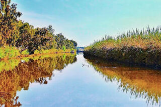 Israel Hadera Stream 0001