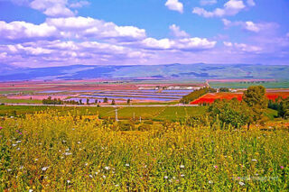 pho-isr-isr-israel hula valley 0004th Israel Hula Valley 0004