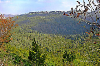 pho-isr-isr-israel judean hills 0004th Israel Judean Hills 0004