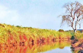 pho-isr-isr-israel lakhish river 0002th Israel Lakhish River 0002