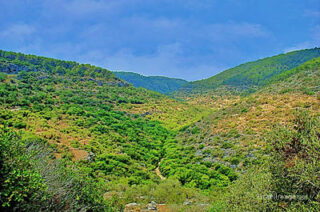pho-isr-isr-israel mount carmel 0001th Israel Mount Carmel 0001