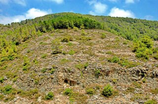 pho-isr-isr-israel mount carmel 0002th Israel Mount Carmel 0002
