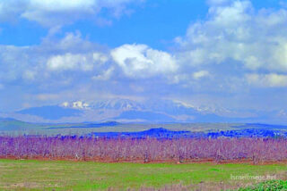 Israel Mount Hermon 0004