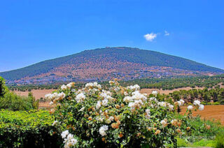 Israel Mount Tabor 0001