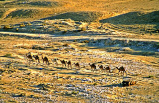 Israel Nahal Be'er Sheva 0002