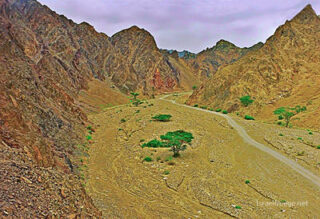 Israel Nahal Shlomo 0001