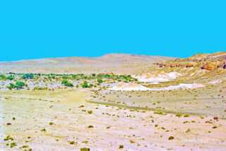 israel paran river 0002