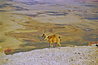 israel ramon crater 0002