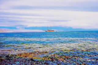 israel red sea 0004a