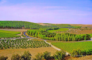 pho-isr-isr-israel valley of elah 0003th Israel Valley Of Elah 0003