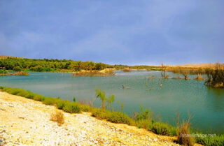 pho-isr-isr-israel yeruham lake 0001th Israel Yeruham Lake 0001