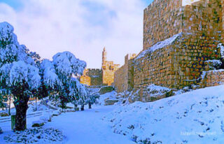 jerusalem Jerusalem Old City David Tower 0005