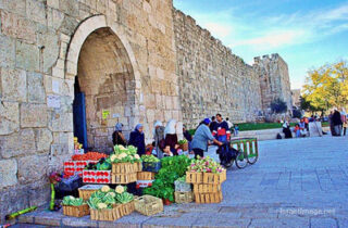 jerusalem Jerusalem Old City Herods Gate 0001