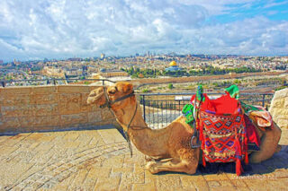 jerusalem Jerusalem Old City View From Mt Of Olives 0002