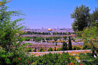 jerusalem Jerusalem Old City View From Mt Of Olives 0006