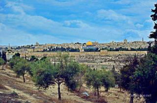 jerusalem Jerusalem Old City View From Mt Of Olives 0012