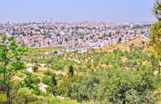 pho-isr-jernc-jerusalem new city view and east jerusalem from mt scopus 0003 th Jerusalem New City View And East Jerusalem From Mt Scopus 0003