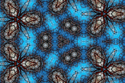 The Kaleidoscope Of Life 0002