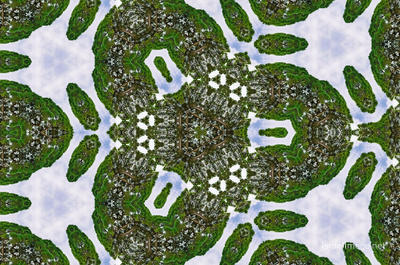 The Kaleidoscope Of Life 0003