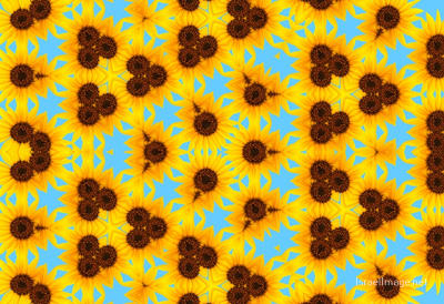 The Kaleidoscope Of Life 0006