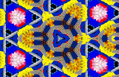 The Kaleidoscope Of Life 0007
