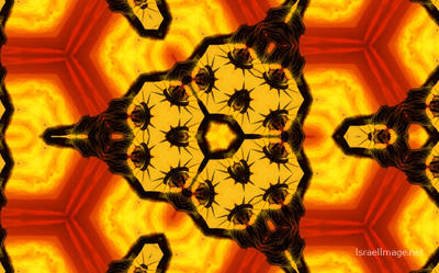 The Kaleidoscope Of Life 0008