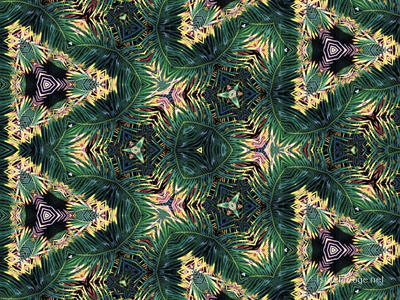 The Kaleidoscope Of Life 0014