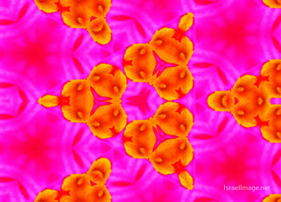 The Kaleidoscope Of Life 0017