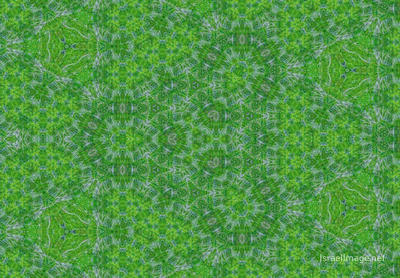 The Kaleidoscope Of Life 0020