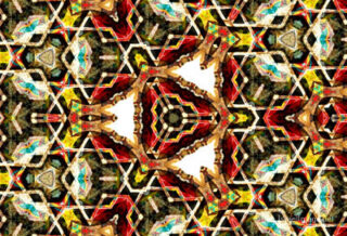 The Kaleidoscope Of Life 0028