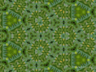 The Kaleidoscope Of Life 0030