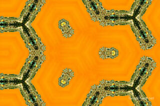 The Kaleidoscope Of Life 0031
