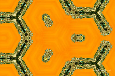 The Kaleidoscope Of Life 0031
