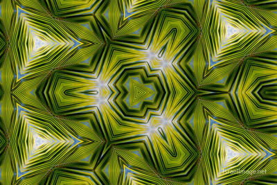 The Kaleidoscope Of Life 0034