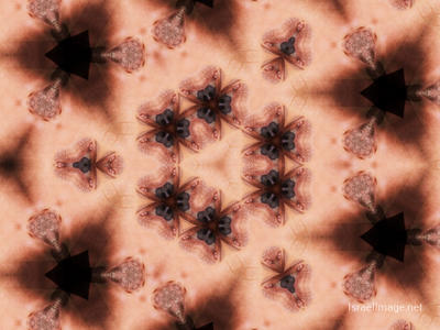 The Kaleidoscope Of Life 0036