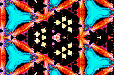 The Kaleidoscope Of Life 0039