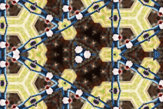 The Kaleidoscope Of Life 0050