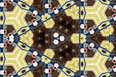 The Kaleidoscope Of Life 0050