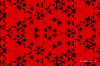 The Kaleidoscope Of Life 0052