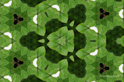 The Kaleidoscope Of Life 0053