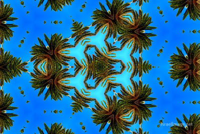 The Kaleidoscope Of Life 0055